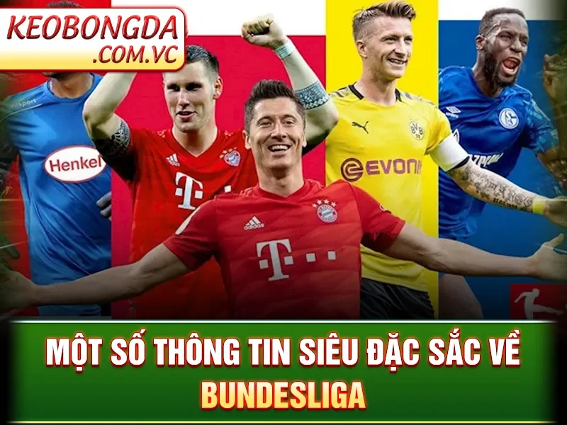 Bundesliga - Giải Bóng Đá Đỉnh Cao Làm Rực Sáng Sân Cỏ Đức 2 Một số thông tin siêu đặc sắc về Bundesliga