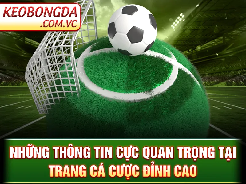 Những thông tin cực quan trọng tại trang cá cược đỉnh cao