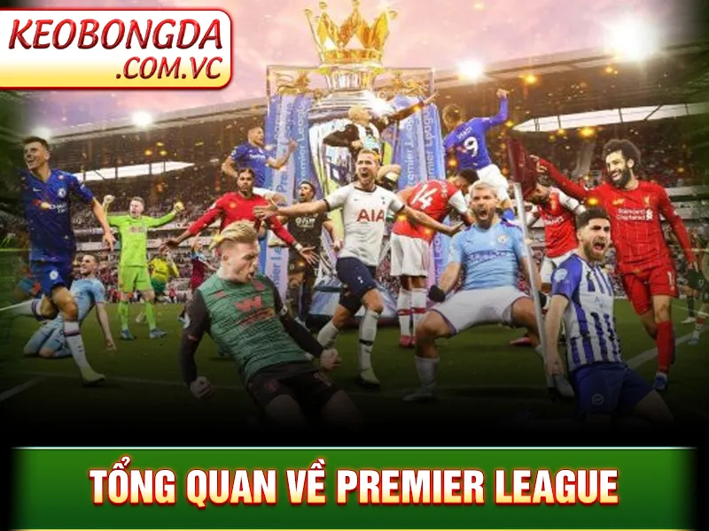 Premier League - Giải Đấu Bóng Đá Khốc Liệt Nhất Hành Tinh 2 Tổng quan về Premier League