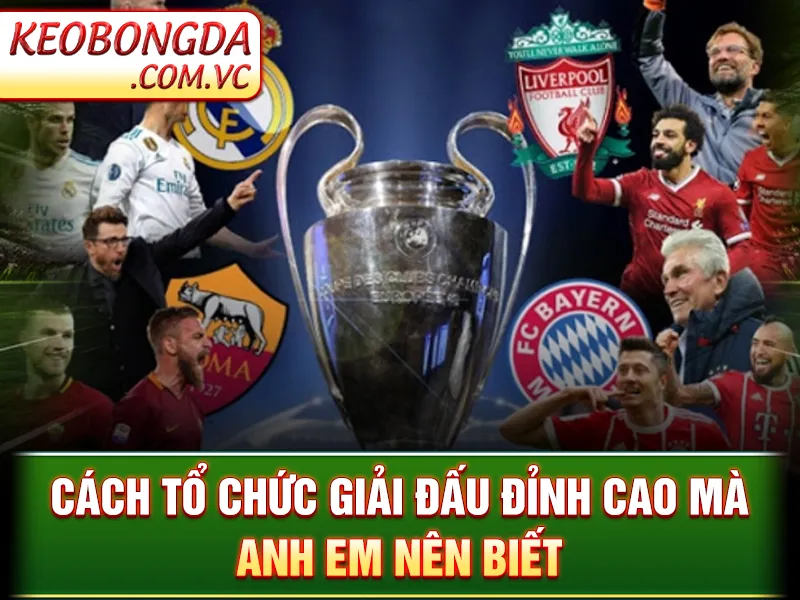 UEFA Champions League - Giải Đấu Khắc Nghiệt Của Bóng Đá Châu Âu 3 Cách tổ chức giải đấu đỉnh cao mà anh em nên biết