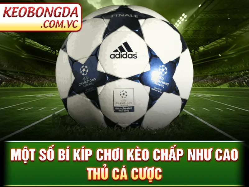 Kèo Chấp Bóng Đá - Hiểu Đúng Để Đánh Kèo Dễ Thắng Lớn 4 Kèo Chấp Bóng Đá - Một số bí kíp chơi kèo chấp như cao thủ cá cược